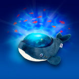Pabobo veilleuse projecteur baleine Aqua dream extra douce AAQ01-TEALWHALE