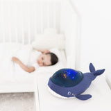 Pabobo veilleuse projecteur baleine Aqua dream extra douce AAQ01-TEALWHALE