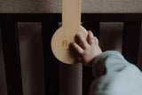 Flow mobile musical rechargeable Liva