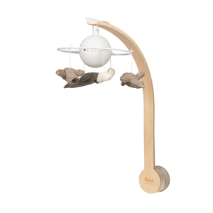 Flow mobile musical rechargeable Liva