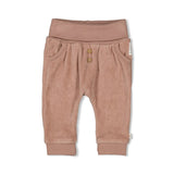 Feetje pantalon velours Fall Favorites hazelnut 52202439