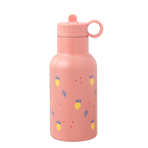 Fresk gourde thermos summer fruit FD300-55