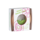 Petit Boum donut sensoriel kiwis PBSDKIW