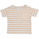 Bean's T-shirt OCEAN Striped slub cot. Abricot S2324665