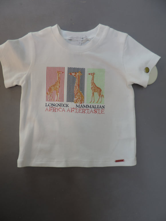 Gymp t-shirt blanc africa taille 68